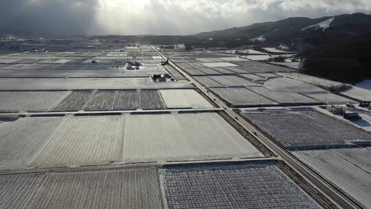 日本北海道端野乡村田野冬天雪原风光