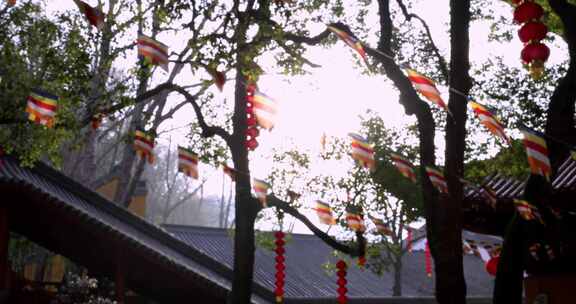 杭州上天竺法喜寺阳光透过树叶