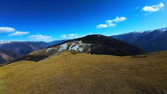 辽阔的高山草甸与远处的雪山景色