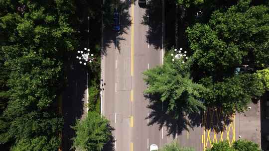 俯瞰树林中间的道路