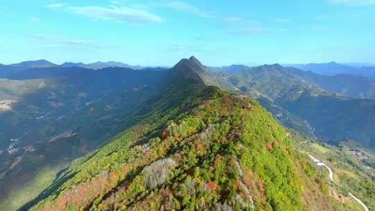 秦岭森林秋色