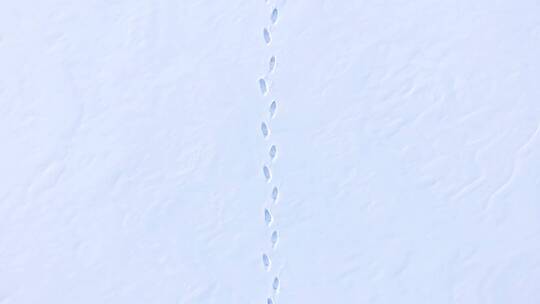 4K冬季冰雪雪地脚印南极北极白色