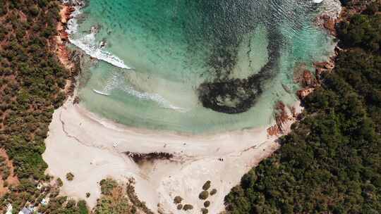 科西嘉，海湾，度假，海滩