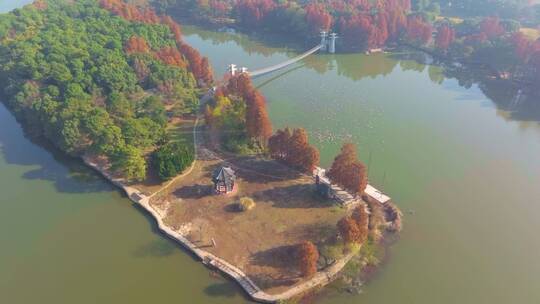 湖北武汉东湖风景区秋季风光