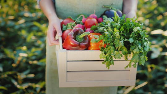 女性手持新鲜蔬菜和草药的盒子 