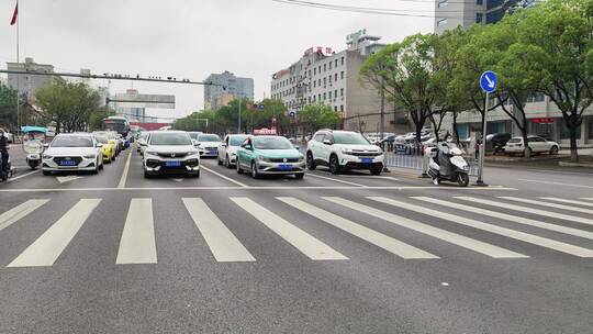 城市道路建筑春天花草树木商铺店面马路汽车