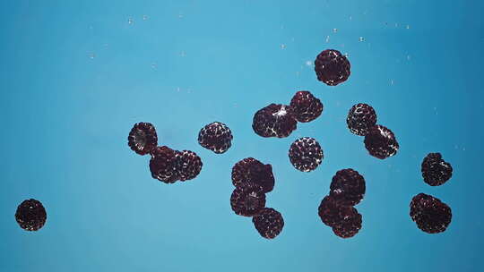 黑莓落入水中视频素材模板下载