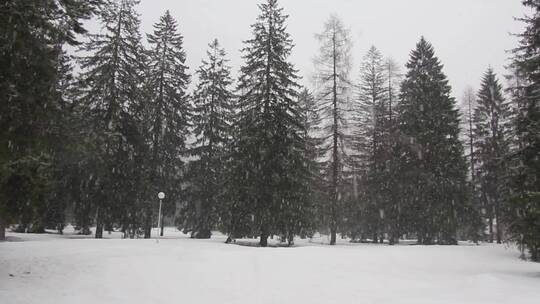 斯洛文尼亚下雪了视频素材模板下载