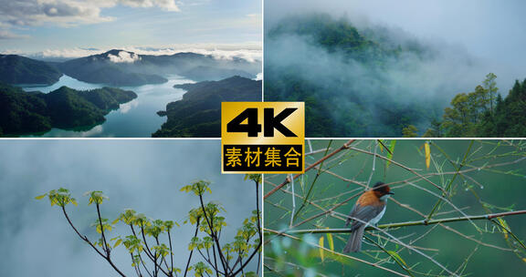 4k航拍山水 下雨天自然风景雨后清新绿植高清在线视频素材下载