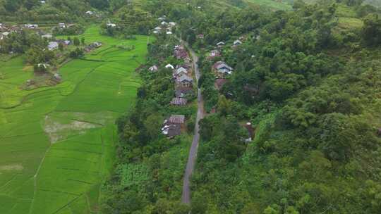 鸟瞰印度尼西亚弗洛雷斯鲁滕的稻田、村庄和