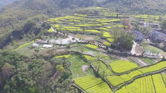 衢州市衢江区东平村