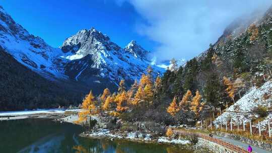 雪山下多彩树林与湖泊相映的美景