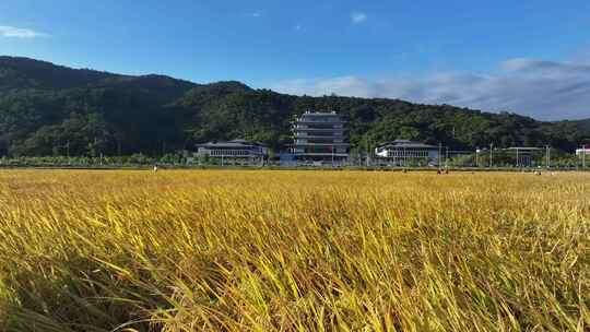 中国广东省广州市从化区广州国家版本馆