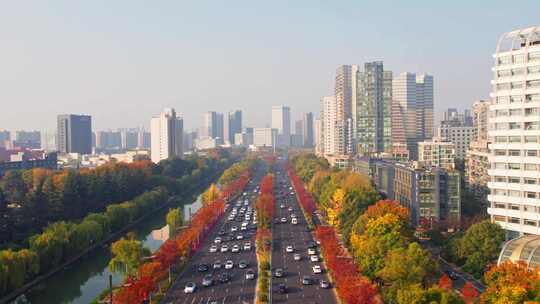 秋天的城市道路交通风景航拍