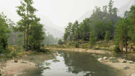 一条宁静的河流流经充满活力的绿色森林