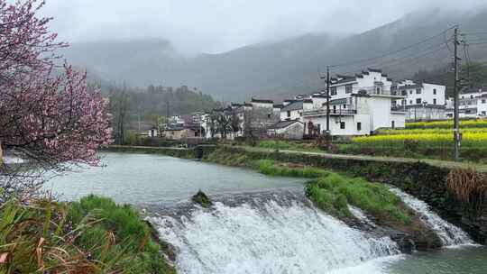 江西婺源田园风光