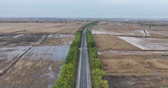 内蒙公路白桦林俯拍