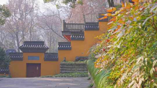 杭州灵隐寺寺庙建筑风景