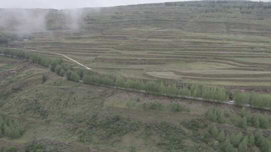 青海平安八瓣莲花山田地树木航拍视频