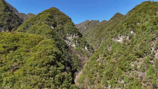 秦岭秋季风景