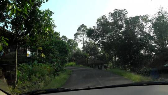 乡村公路上开车的沿途风景