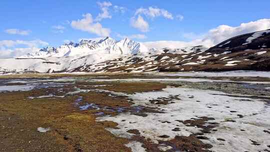 4K自然航拍海拔5000米雪山冰原带草甸视频素材模板下载