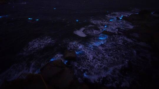 山东威海高区小石岛后山的荧光海浪视频素材模板下载
