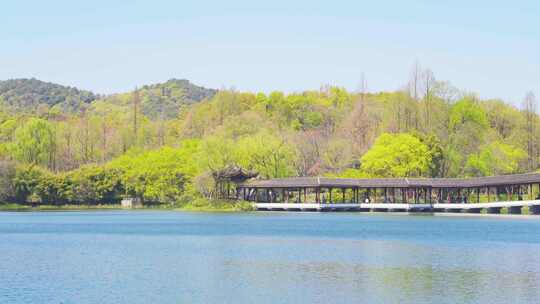 杭州西湖浴鹄湾霁虹桥春天风景