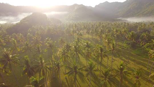 飞越印度尼西亚的迷雾谷