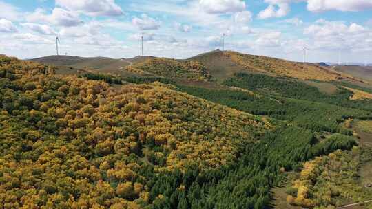 4K航拍秋天草原风景  五彩森林 秋天