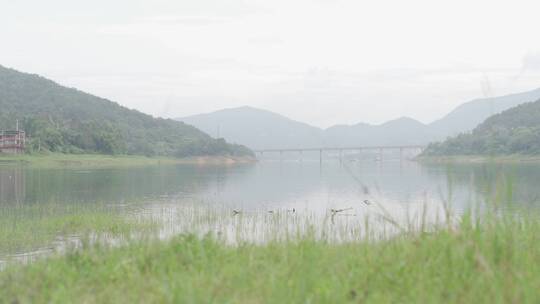 乡村世外桃源小溪溪流自然生态溪边河流