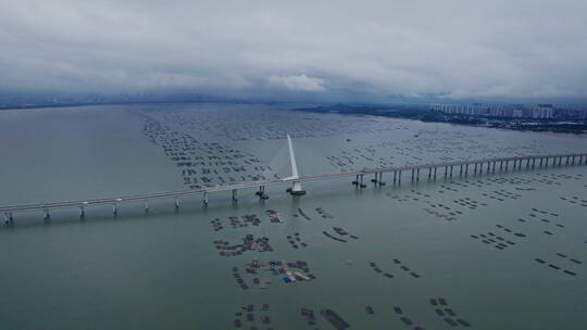 4k航拍深圳湾大桥