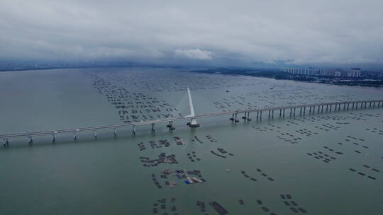 4k航拍深圳湾大桥视频素材模板下载