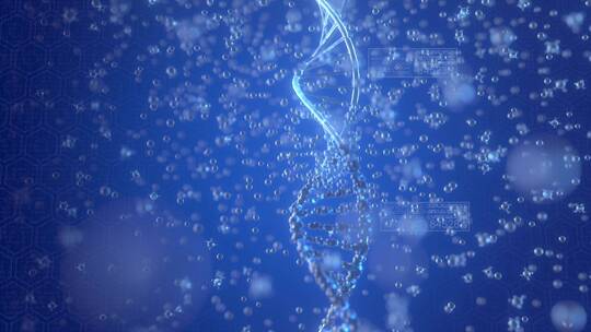 dna水分子结构混合