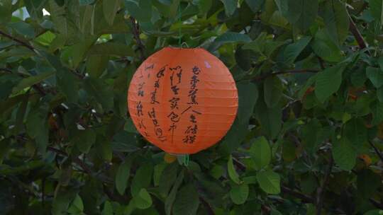 中秋节绿叶间挂的纸灯笼