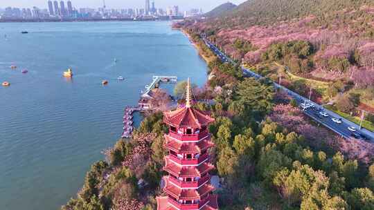 航拍春天唯美徐州云龙湖风景区苏公塔园林视频素材模板下载