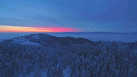 清晨航拍松林雪山