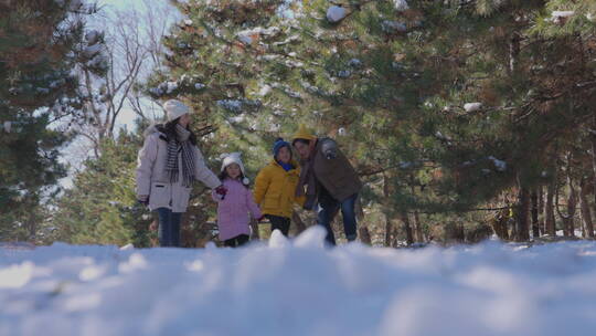 快乐家庭在雪地里玩耍