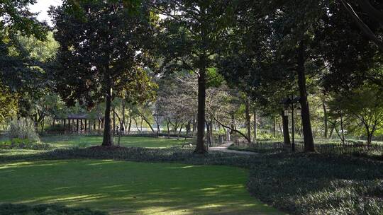 杭州西湖十景茅家埠水乡风景