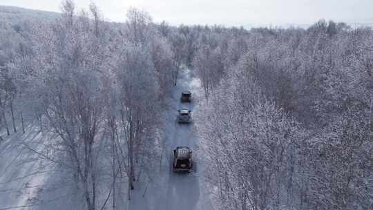 4K呼伦贝尔雪原雾凇车队行驶13