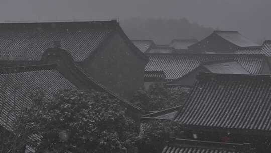 2024年第一场雪雪中的千年古寺金粟寺