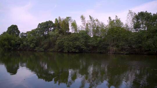 杭州国家西溪湿地公园梅竹山庄4K视频素材