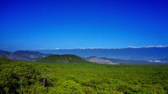 雪山下的腾冲火山森林