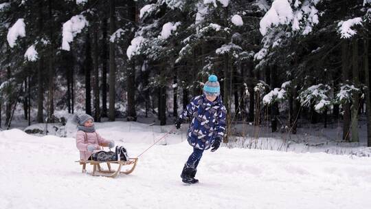 孩子们在雪地玩雪橇