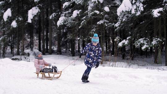 孩子们在雪地玩雪橇视频素材模板下载