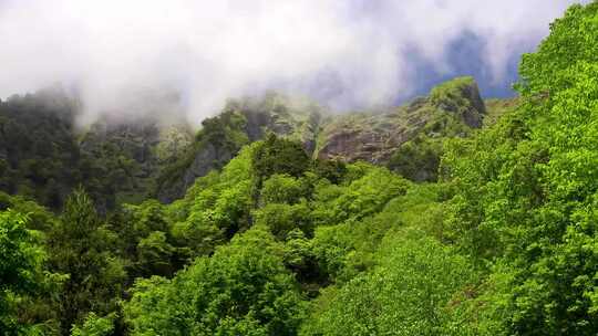 青山绿水大自然风光绿色森林湖泊远山风景