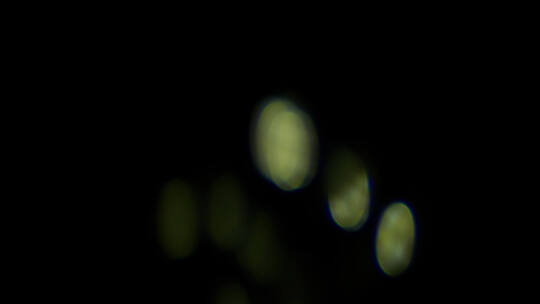 4k微弱的光效光斑叠加视频合集 (4)