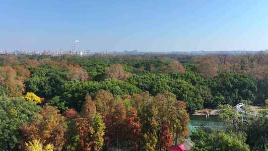 湿地公园秋天风景   公园秋景