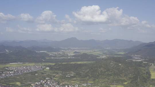 括苍山森林云海风光高山森林