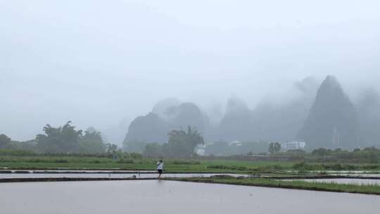 下雨天农民行走在田埂上